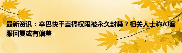 最新资讯：辛巴快手直播权限被永久封禁？相关人士称AI客服回复或有偏差