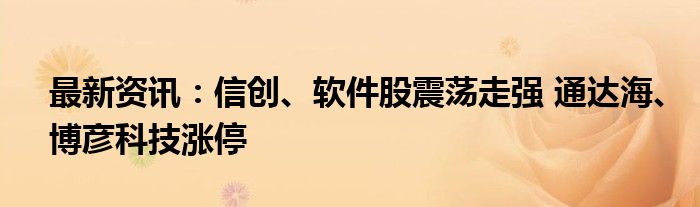 最新资讯：信创、软件股震荡走强 通达海、博彦科技涨停