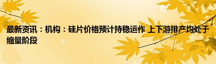 最新资讯：机构：硅片价格预计持稳运作 上下游排产均处于缩量阶段