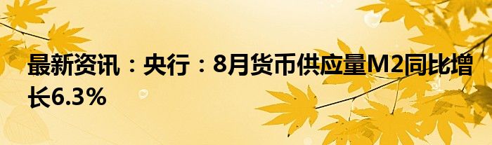 最新资讯：央行：8月货币供应量M2同比增长6.3%