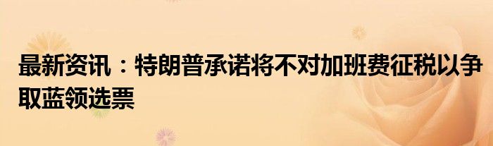 最新资讯：特朗普承诺将不对加班费征税以争取蓝领选票