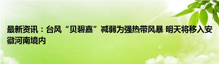 最新资讯：台风“贝碧嘉”减弱为强热带风暴 明天将移入安徽河南境内