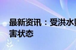 最新资讯：受洪水影响 波兰多地进入自然灾害状态