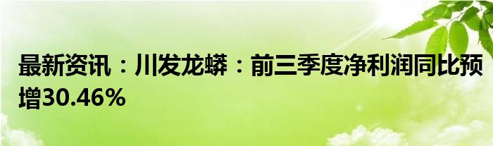 最新资讯：川发龙蟒：前三季度净利润同比预增30.46%