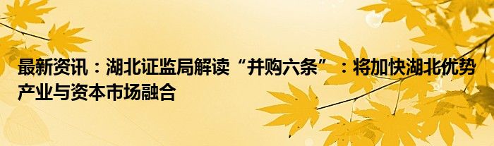 最新资讯：湖北证监局解读“并购六条”：将加快湖北优势产业与资本市场融合