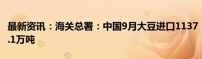 最新资讯：海关总署：中国9月大豆进口1137.1万吨