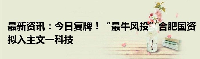 最新资讯：今日复牌！“最牛风投”合肥国资拟入主文一科技